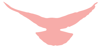 冬奥会安保措施_北京冬奥会消防安保监督_河池支队党风廉政建设监督